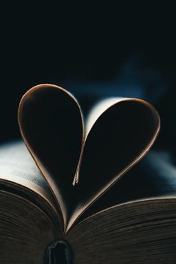 Fiction Books Category
